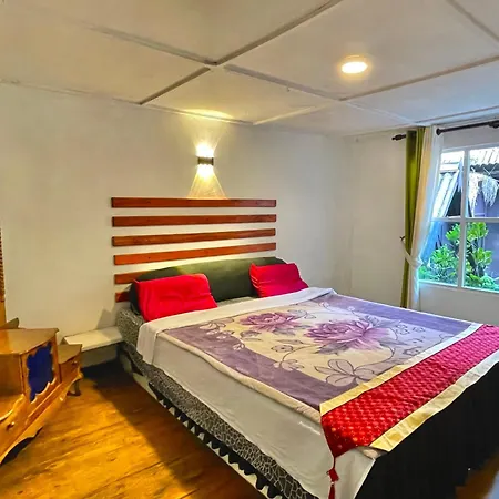 Guest house King Fern *