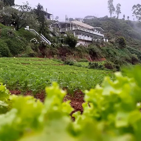 The Nuwaraeliya Nuwara Eliya