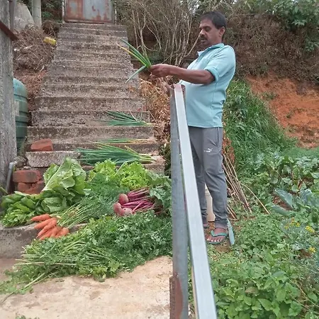 Homestay The Nuwaraeliya