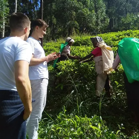 Homestay The Nuwaraeliya