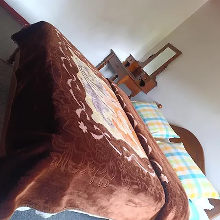 Homestay Mountain View