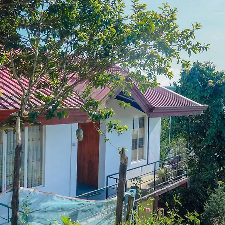 Peace Nest Homestay *