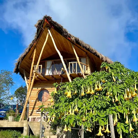 Birdeye Chalet *