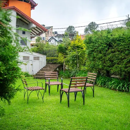 Tranquil Garden