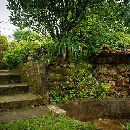 Tranquil Garden Nuwara Eliya