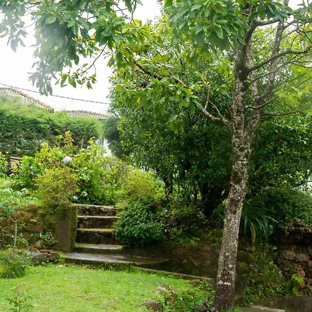 Tranquil Garden Bed & Breakfast
