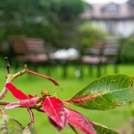 Tranquil Garden