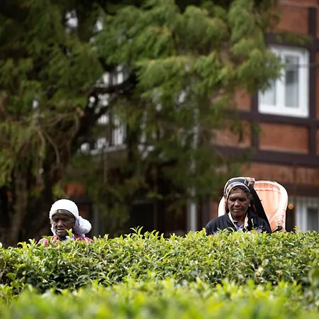 Winchester Little England Hotel Nuwara Eliya