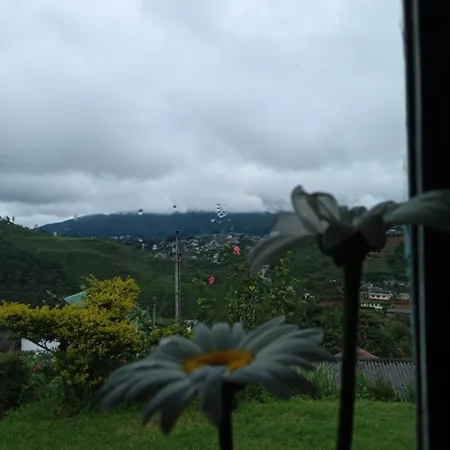 Mount View Nuwara Eliya