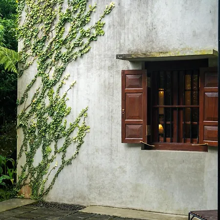 Bed & Breakfast Tathya Hills - Boutique Garden Escape Nuwara Eliya