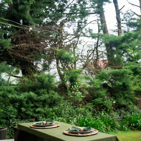 Tathya Hills - Boutique Garden Escape Bed & Breakfast