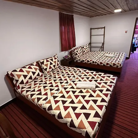 Greenish View Guest house *