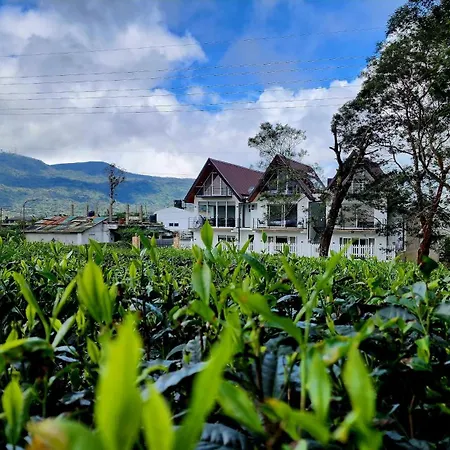 Mountain Misty-nuwaraeliya Hotel