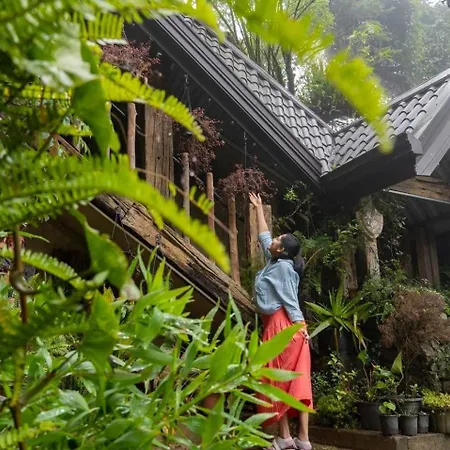 47 Nuwaraeliya