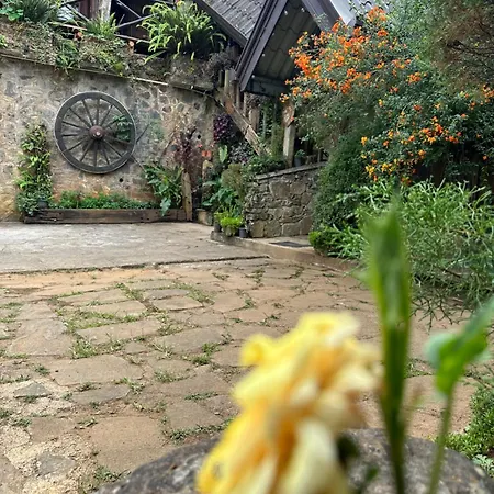 47 Nuwaraeliya * Nuwara Eliya