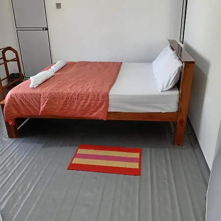 Peace Nest Lodge
