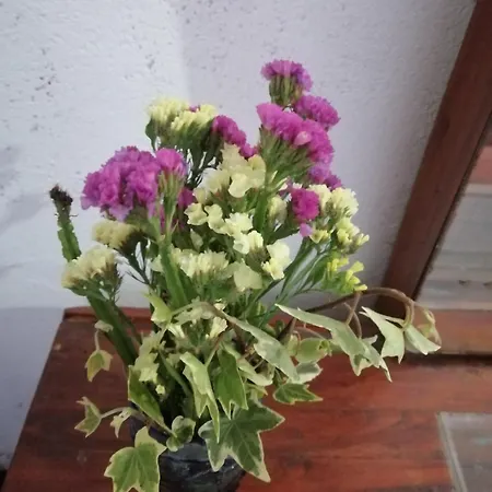 Holiday home Lakleen Nuwara Eliya