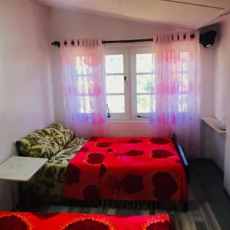 Forest View Hotel