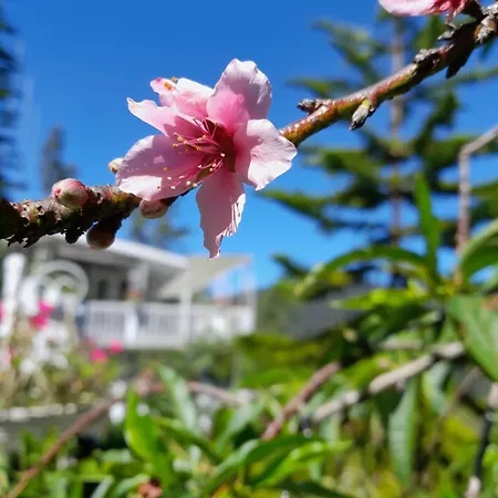 The Nuwaraeliya Homestay Nuwara Eliya