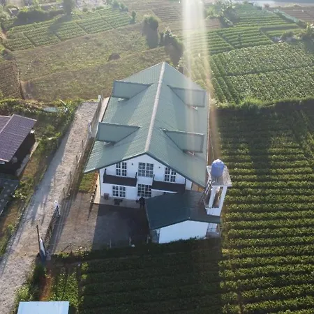 Ivy * Nuwara Eliya