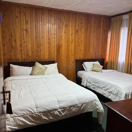 Single Tree Hotel