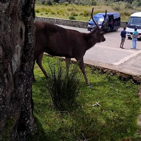 The Vacation Nuwara Eliya