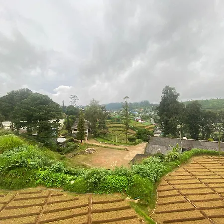 S And D Nuwara Eliya