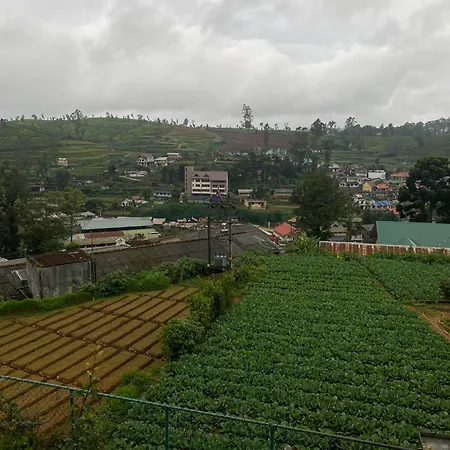 Homestay S And D *