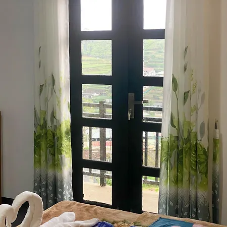 Homestay S And D *