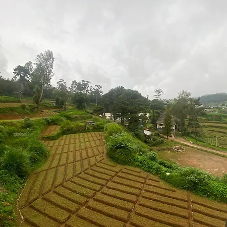 Homestay S And D Nuwara Eliya