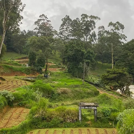 S And D * Nuwara Eliya