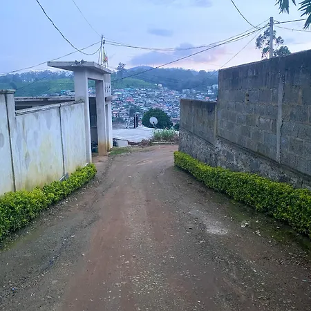 Homestay S And D *