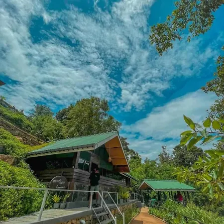 Guest house Belihull 3*