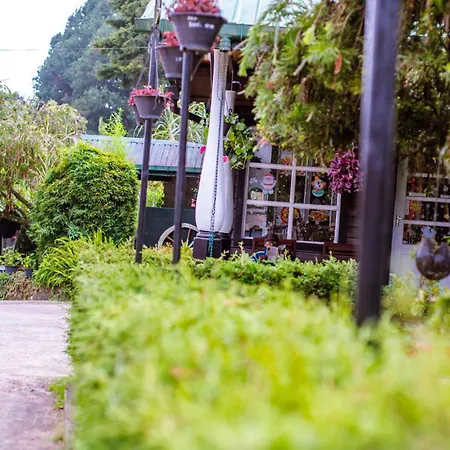 Hotel Nature