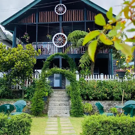 Nature Hotel 3*