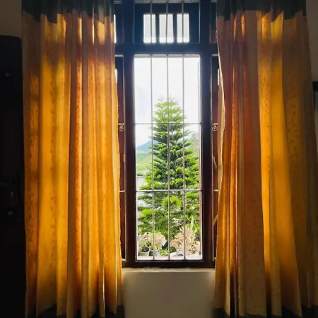 Homestay Konical