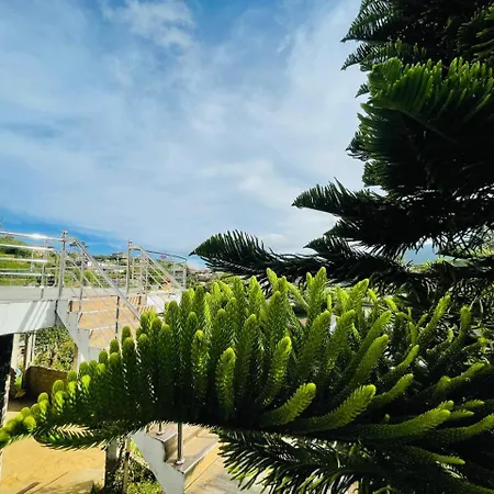 Konical Homestay Nuwara Eliya