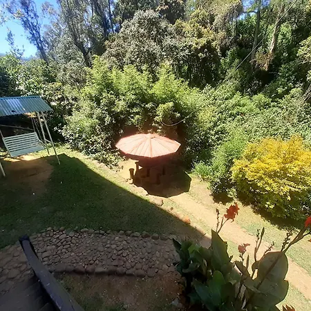 Forest View Rest Nuwaraeliya Nuwara Eliya