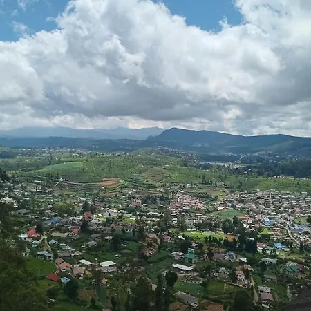 The Mount *