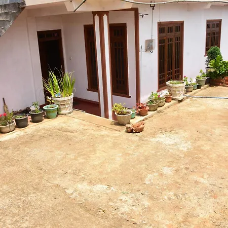 Homestay View