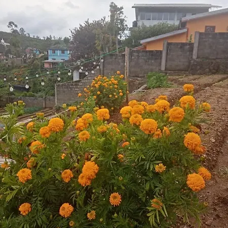 - * Nuwara Eliya
