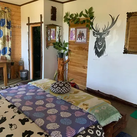 Homestay 2020 Wooden