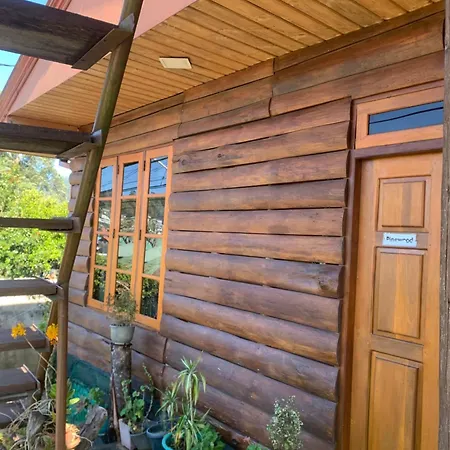 Homestay 2020 Wooden