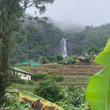 2020 Wooden Nuwara Eliya
