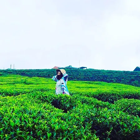 Villa The Tea Garden *