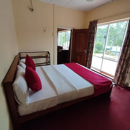 Blossomwell Guest house 3*