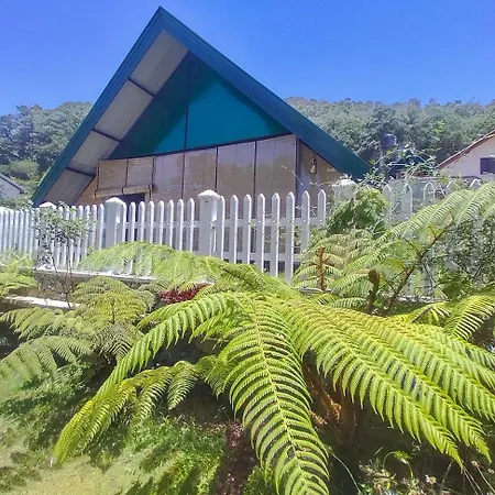 Blossomwell Guest house Nuwara Eliya