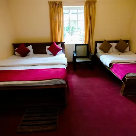 Blossomwell Guest house 3*