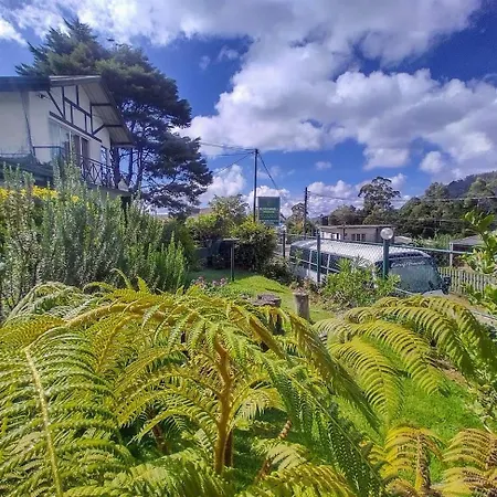 Blossomwell Guest house 3*