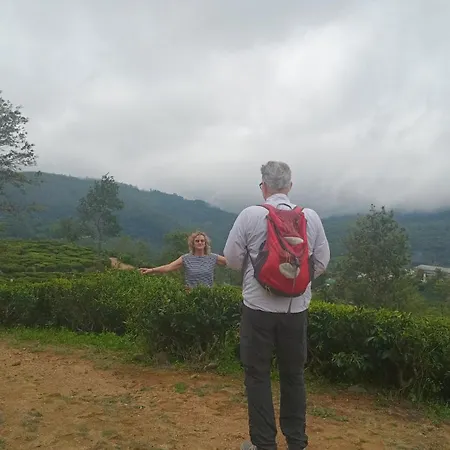 The Mount *